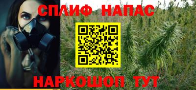 стаф Заводоуковск