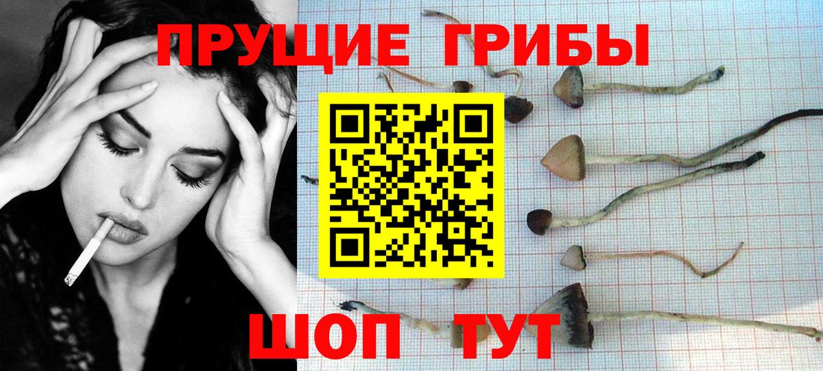Галлюциногенные грибы ЛСД  Галлюциногенные грибы MAGIC MUSHROOMS  Снежинск  Вход с VPN 